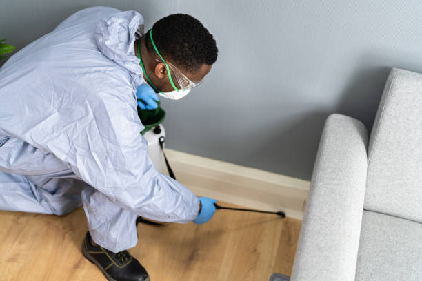 Best Pest Control for Multi-Family Homes  in Elizabeth, NJ